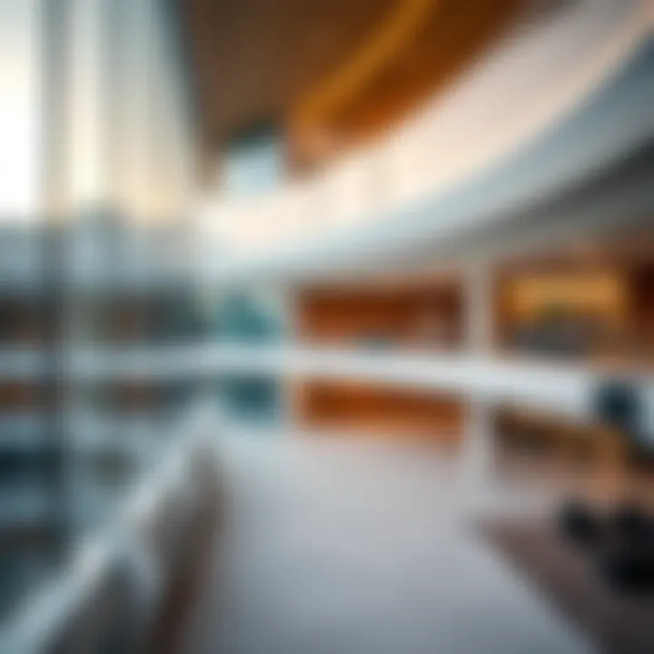 The Abu Dhabi University Dubai Branch: An In-Depth Exploration Summary