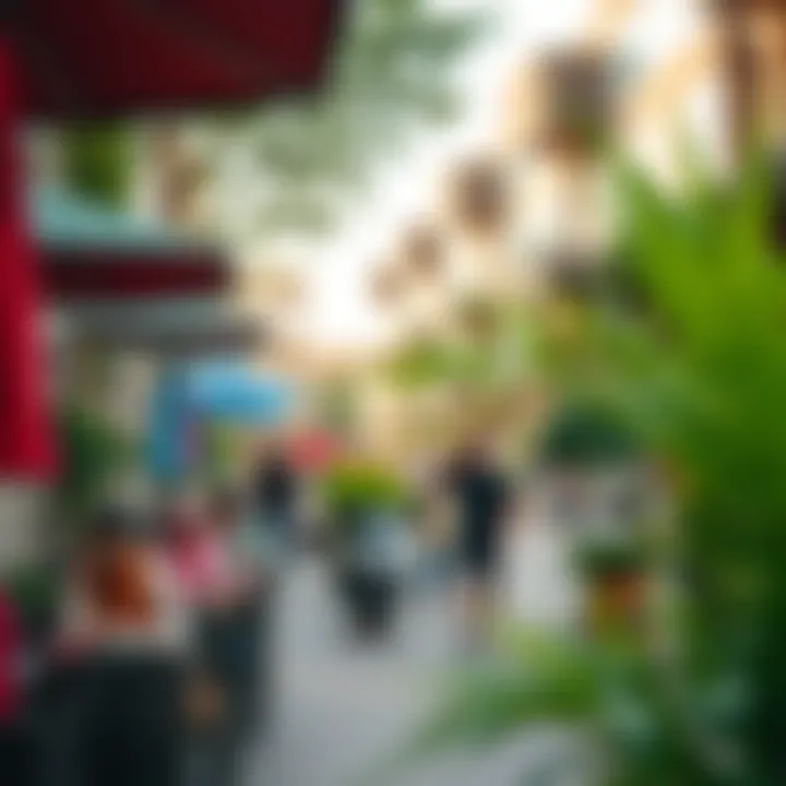 Cultural activities and vibrant lifestyle in The Greens