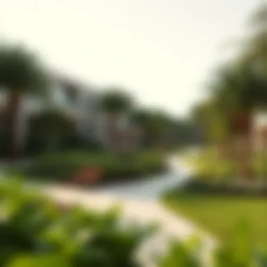 Lush green spaces and recreational areas in The Greens