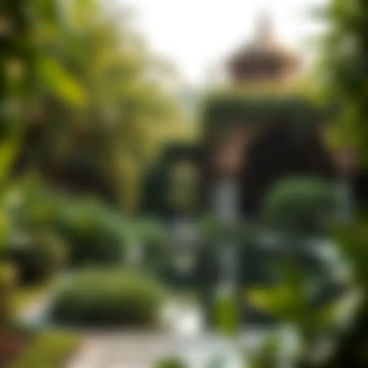 Lush Greenery and Divine Reflection Lush greenery symbolizing divine reflection and personal development