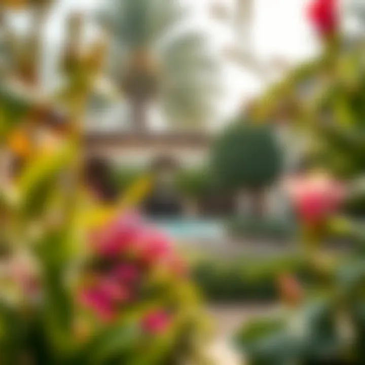 Essence of Spiritual Cultivation A vibrant garden embodying the essence of spiritual cultivation