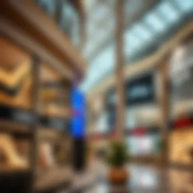 Top Brands Outlet in Dubai: An Insightful Exploration Introduction