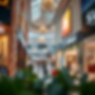 Top Brands Outlet in Dubai: An Insightful Exploration Summary