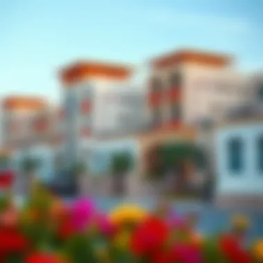 Vibrant Neighborhood Developed by مول قريب A vibrant neighborhood created by مول قريب