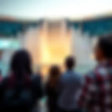 Spectators enjoying the Dubai Mall water show