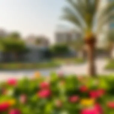 Vibrant community park within University View, highlighting green spaces