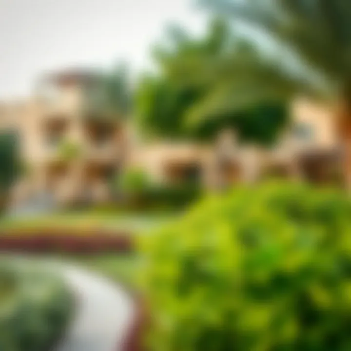 Beautiful view of Mirdif neighborhood with lush greenery