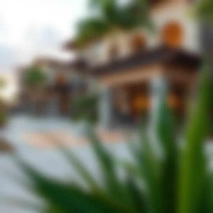 Community amenities and recreational areas