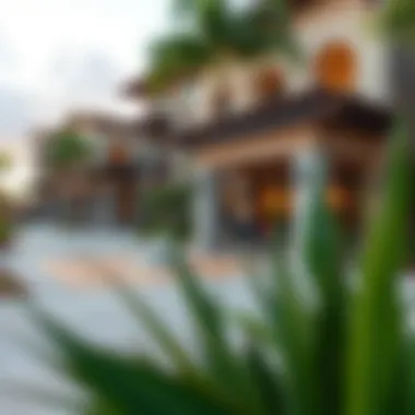 Community Amenities at Westar La Residencia del Sol Community amenities and recreational areas