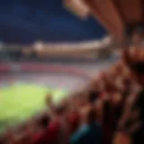 Lively outdoor venue with fans cheering