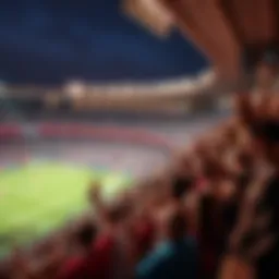 Lively outdoor venue with fans cheering